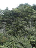 f0153383_15434053.jpg