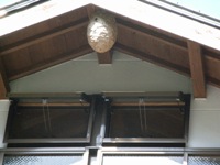 f0153383_15543542.jpg