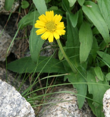c0144185_15414496.jpg