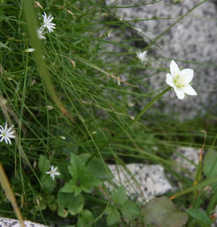 c0144185_15572420.jpg