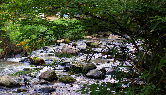 d0151787_11511176.jpg
