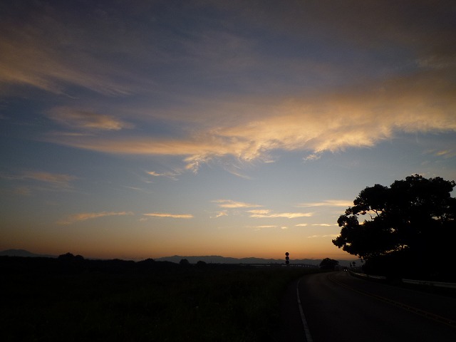 a0118289_8342772.jpg