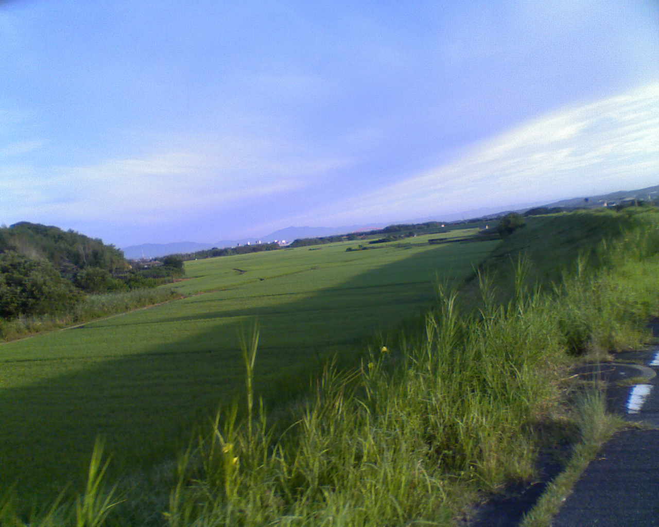 a0118289_942456.jpg