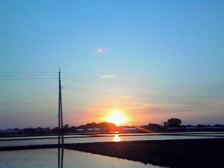 b0080090_12125851.jpg