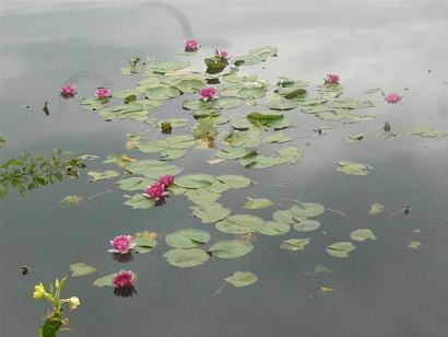 c0123890_158509.jpg