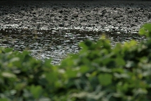 d0133693_2103382.jpg