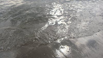 d0045295_2394427.jpg