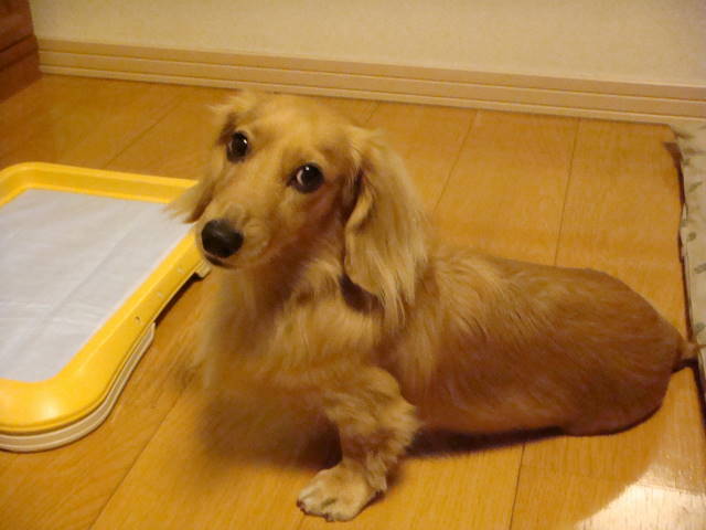 d0098295_23533624.jpg