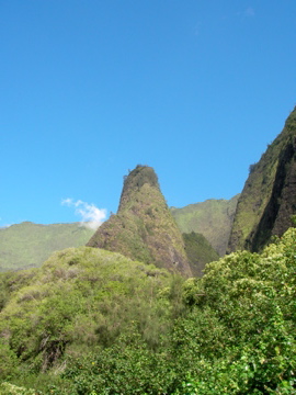 c0159896_5533459.jpg