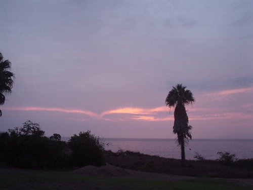 c0159896_914867.jpg