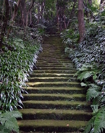 e0043700_20313138.jpg