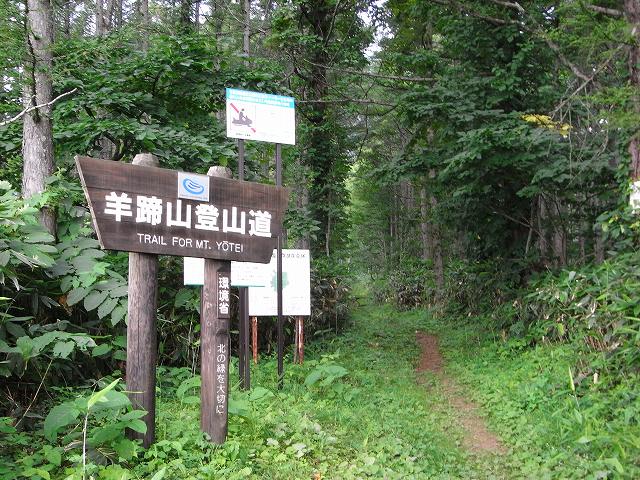 f0157901_14533992.jpg