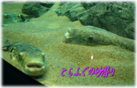 a0075802_2126794.jpg