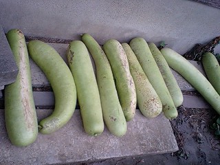 c0163102_20201044.jpg