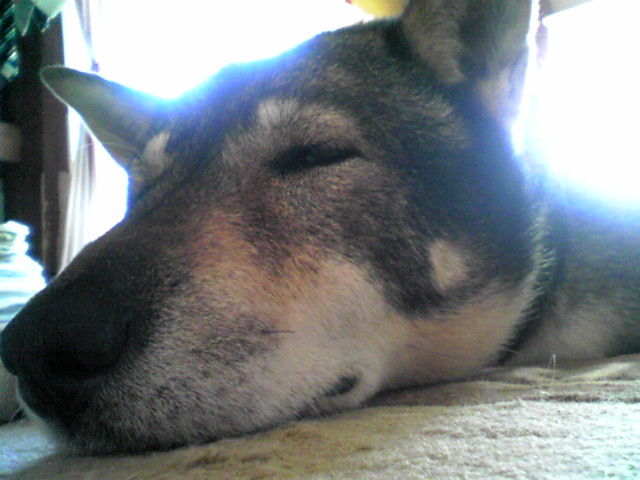 f0079202_16233786.jpg