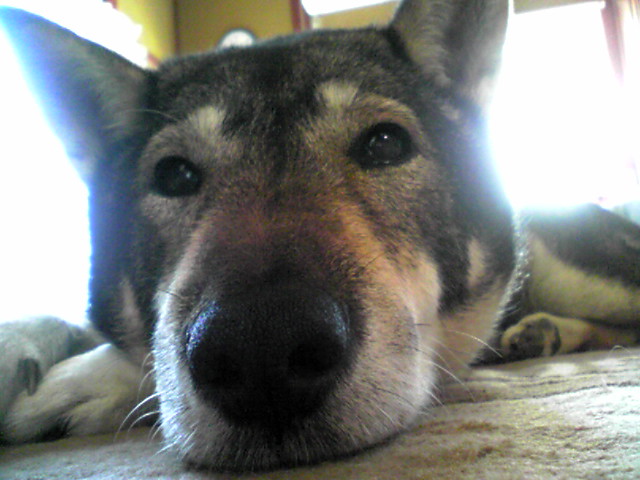 f0079202_16233790.jpg