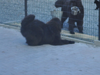 e0005603_15411651.jpg