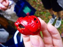 c0148705_2324635.jpg