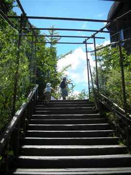 c0145209_16252833.jpg