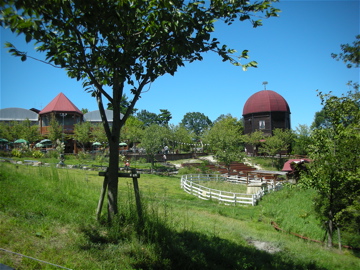 c0145209_16263571.jpg