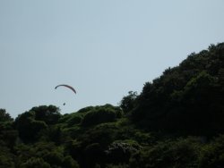 c0190010_2032365.jpg