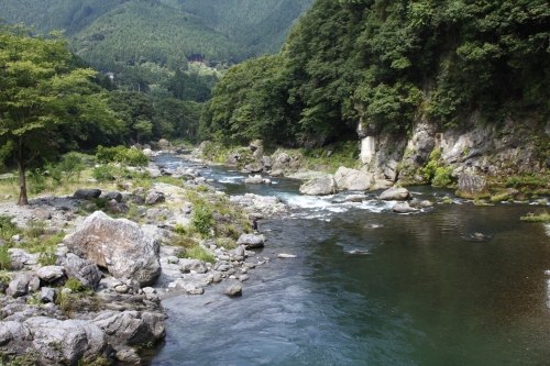 e0121110_2254152.jpg
