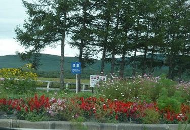 b0167519_2124390.jpg