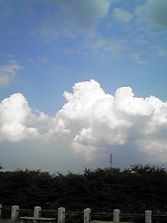 c0154819_2323794.jpg