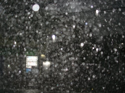 e0003819_6344390.jpg