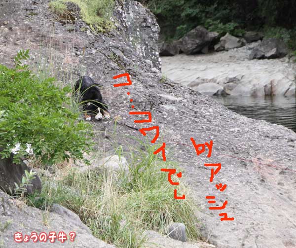 f0203423_1554573.jpg