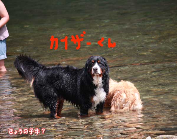 f0203423_156124.jpg