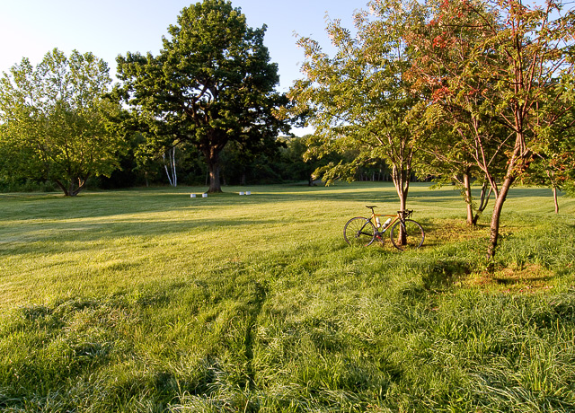 b0085526_784255.jpg