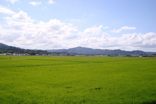 f0007926_17263290.jpg