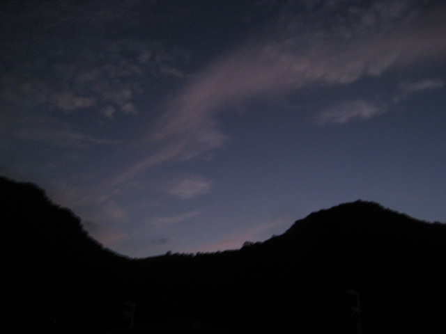 d0147727_20323279.jpg
