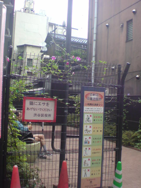 e0016828_17345720.jpg