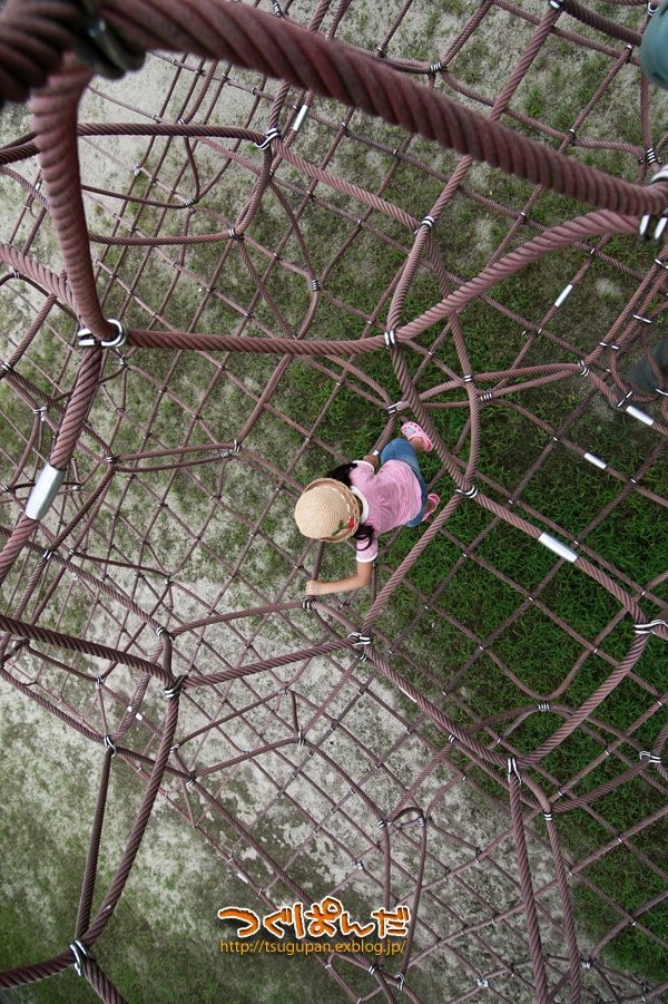 f0153628_2326924.jpg