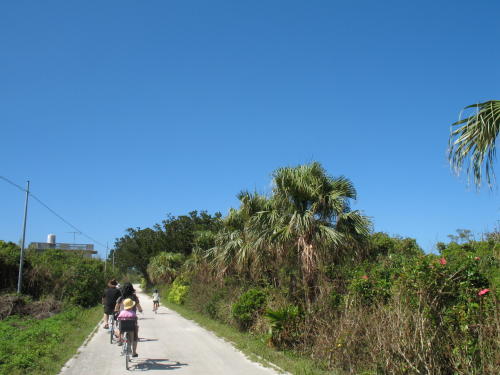 f0060530_23462718.jpg