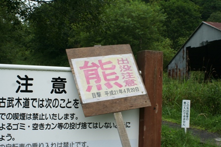 b0085331_120489.jpg