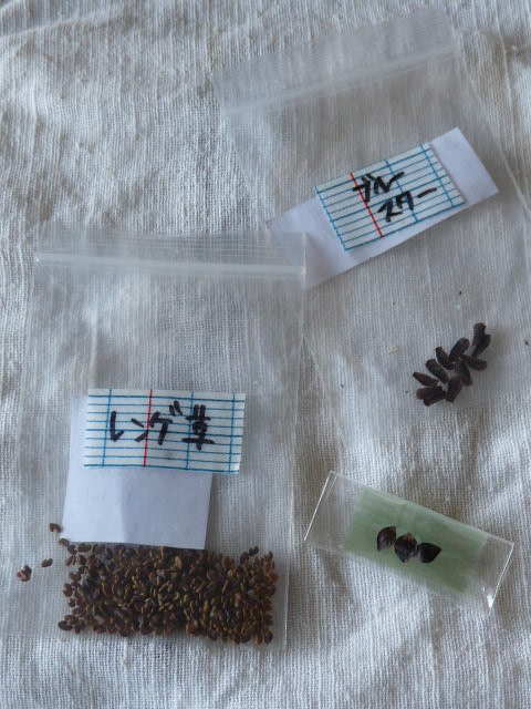 c0100534_8442364.jpg