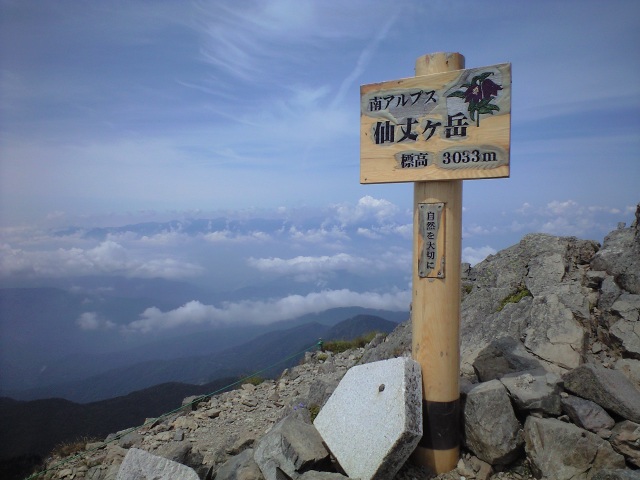 d0107938_12323971.jpg