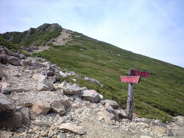 d0107938_1232840.jpg