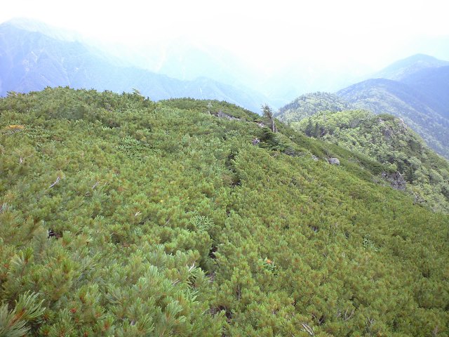 d0107938_12355735.jpg