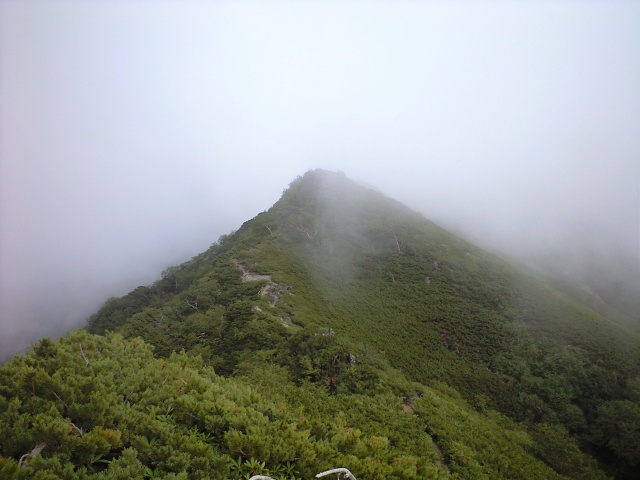 d0107938_12373082.jpg