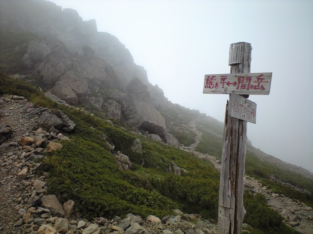 d0107938_1238971.jpg