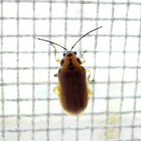 b0168139_2344775.jpg
