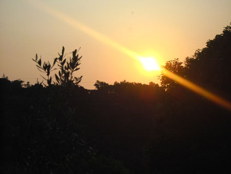 a0127241_16391520.jpg