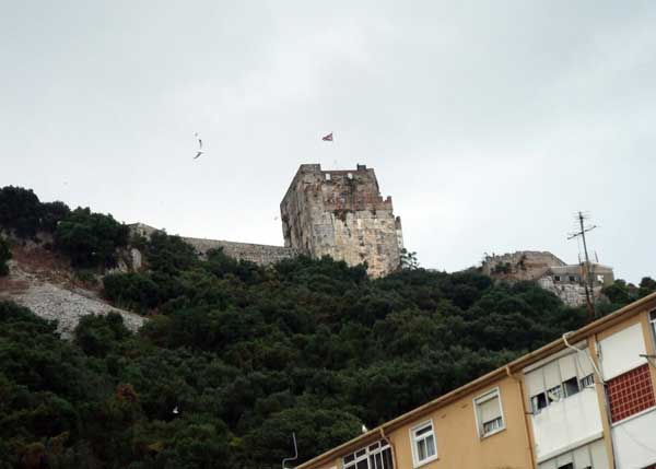 d0129145_1142890.jpg