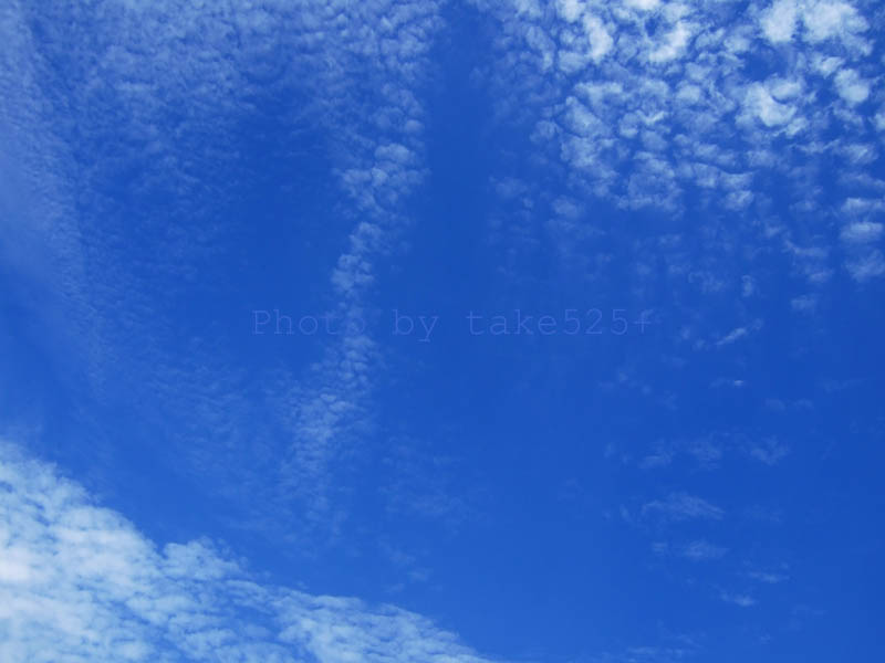 a0116946_65214100.jpg