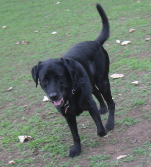 e0121548_2234102.jpg