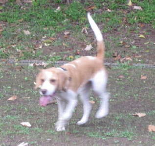 e0121548_2240119.jpg